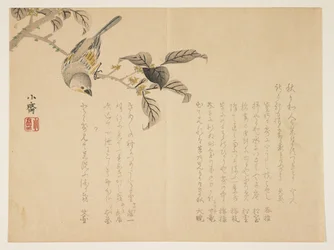 Bird on a Branch